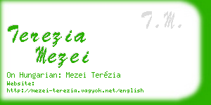 terezia mezei business card